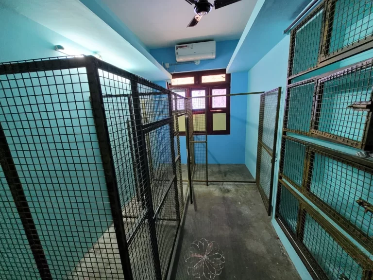 Boarding Kennels