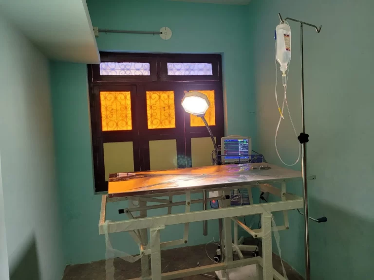 Surgery & Treatment Room