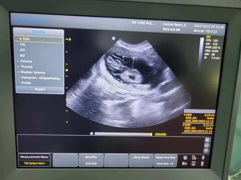 Ultrasound & Diagnostics